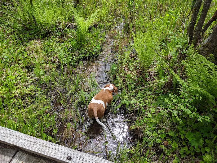 WILDERNESS GATEWAY 9