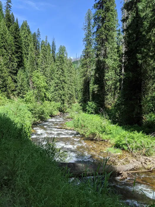 Johnson Bar Campground & Group Site 6