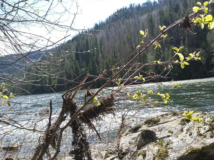 Wild Goose Campground 7