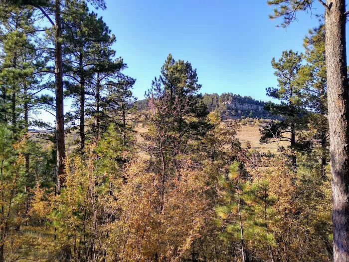 Alkali Creek Campground 1