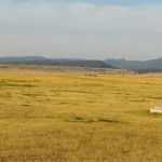 Dakota Frontier Camp