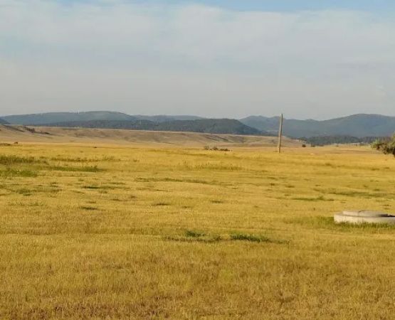 Dakota Frontier Camp