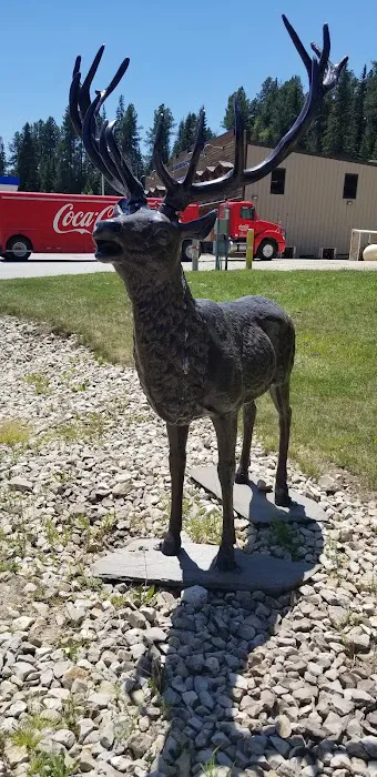 Steel Wheel Campground & Trading Post 7