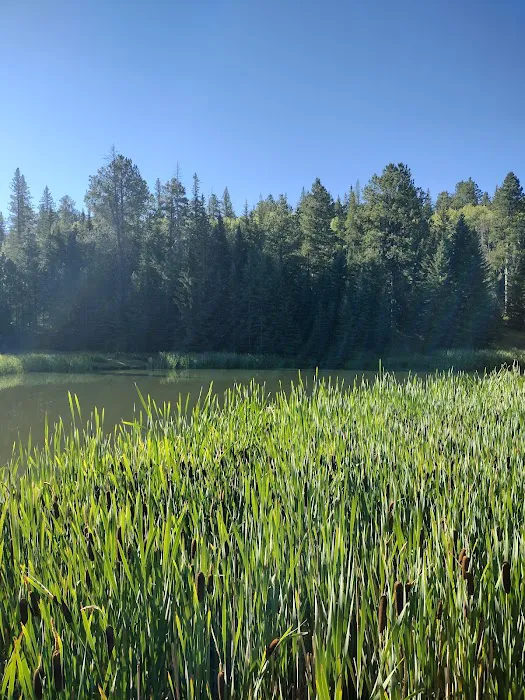 Strawberry Hill Campground 1
