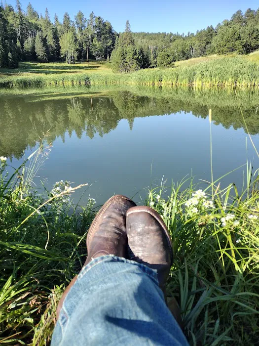 Strawberry Hill Campground 6