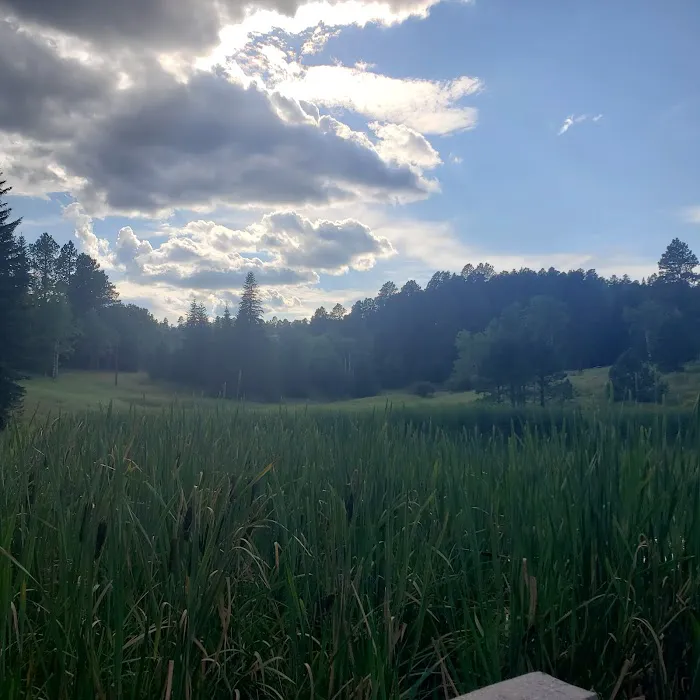 Strawberry Hill Campground 5