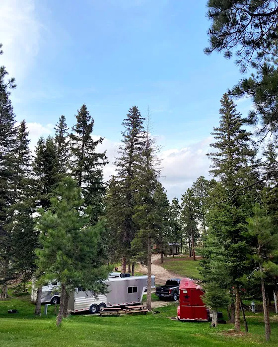 US Forestry Department 5