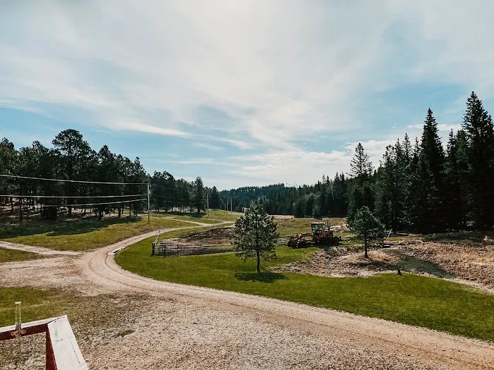 US Forestry Department 6