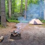 Blue Valley Roadside Camping