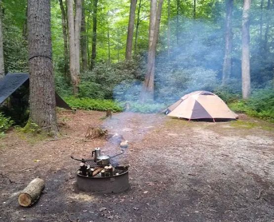Blue Valley Roadside Camping