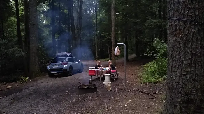 Blue Valley Roadside Camping 2