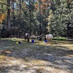 Sarah's Creek Campground