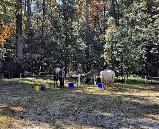Sarah's Creek Campground