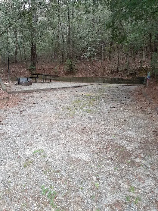 Sarah's Creek Campground 1