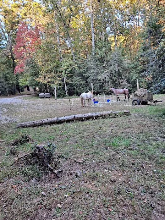 Sarah's Creek Campground 2