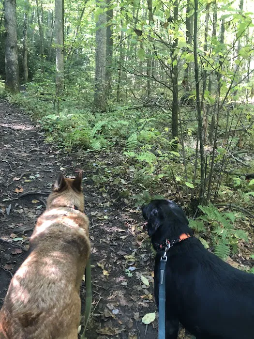 Cove Creek Group Campground 1