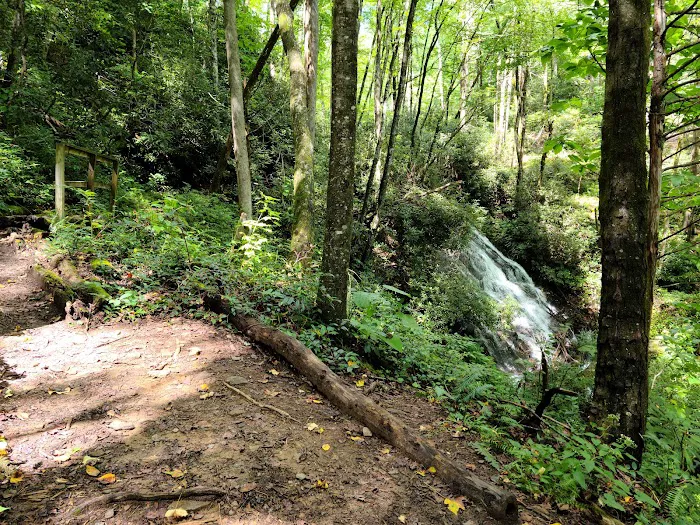 Cove Creek Group Campground 3