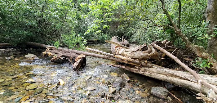 Cove Creek Group Campground 4