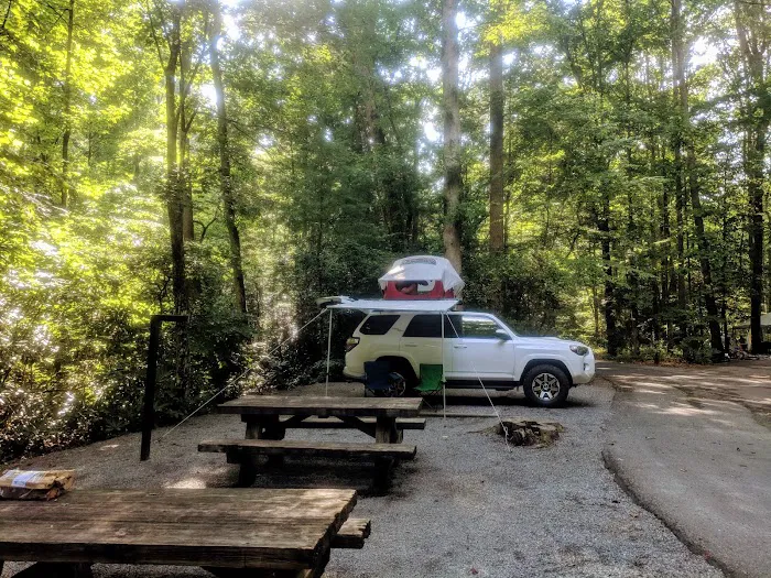 Davidson River Campground 0