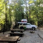 Davidson River Campground