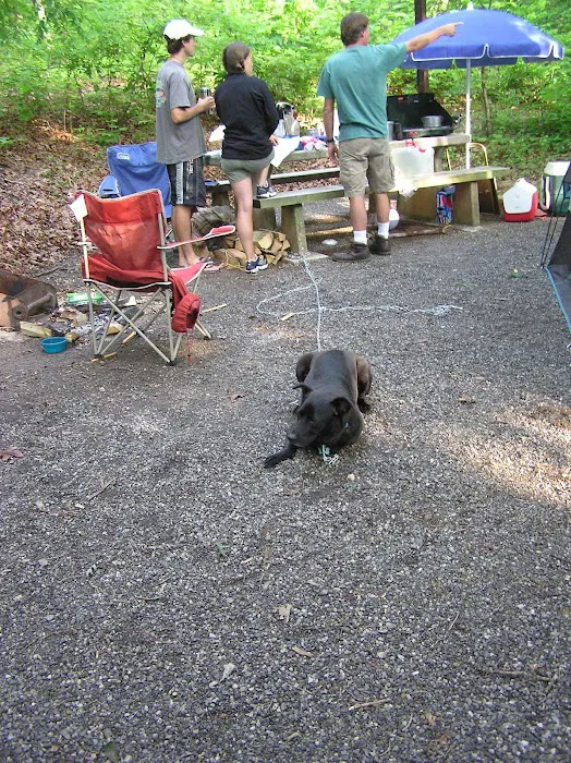 White Pine Group Camp Site 1