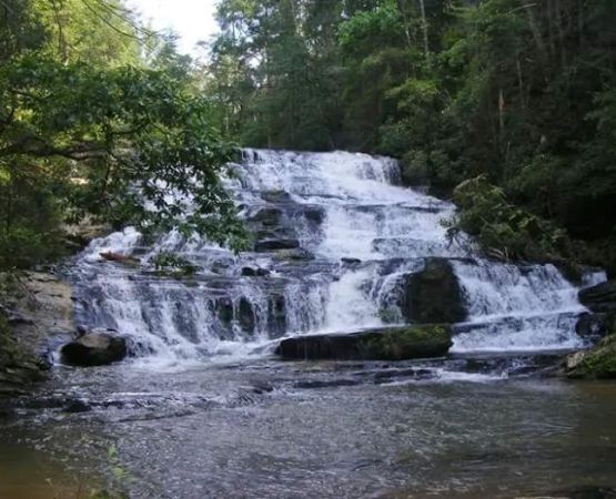 Brasstown Falls Waterfall and Camping Area