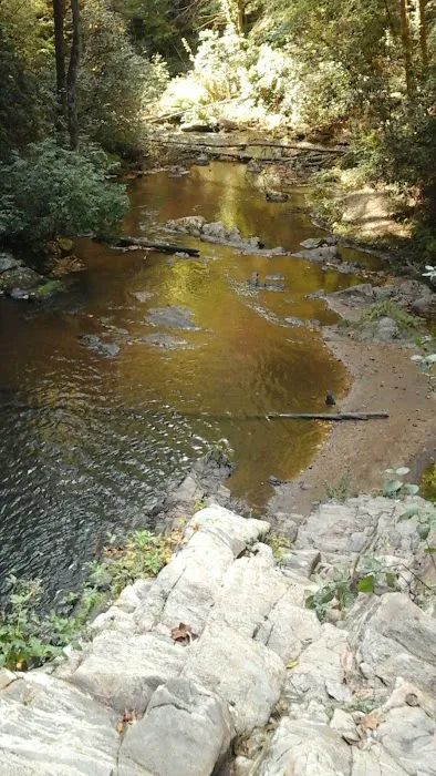 Brasstown Falls Waterfall and Camping Area 5