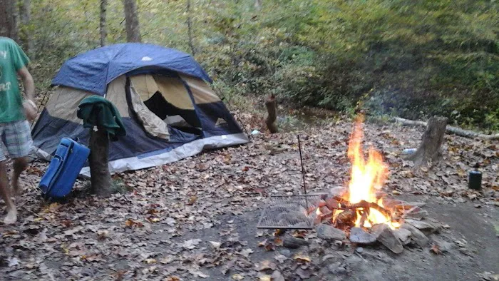 Brasstown Falls Waterfall and Camping Area 7
