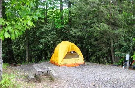 Black Forest Family Camping Resort 0