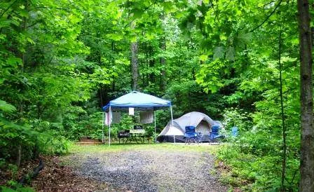Black Forest Family Camping Resort 3