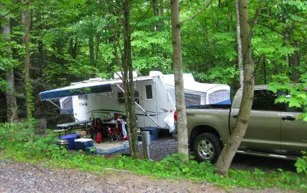 Black Forest Family Camping Resort 6