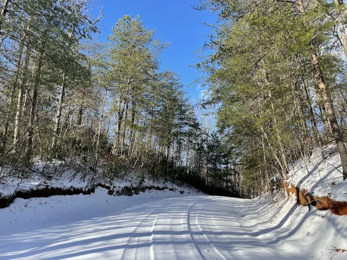 Camp Awanita 3