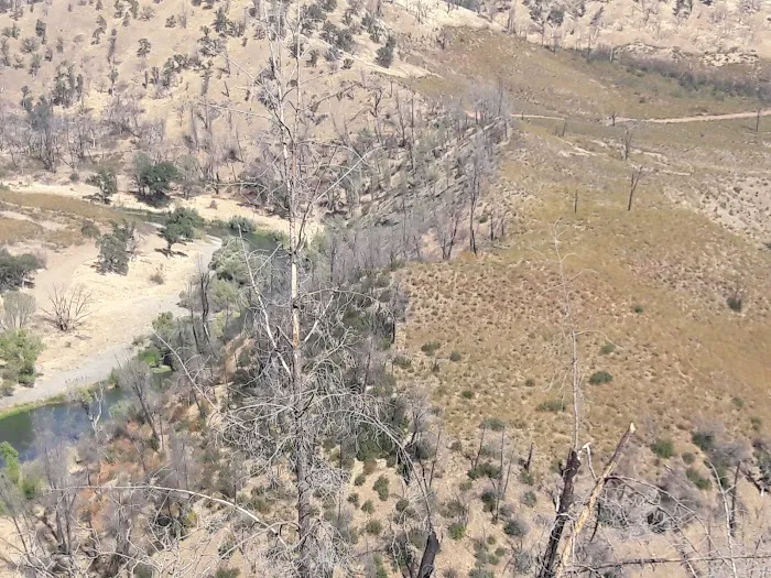 Buck Island Campground 8