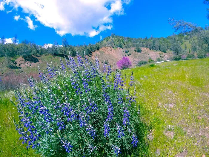 Bear Creek Campground 5