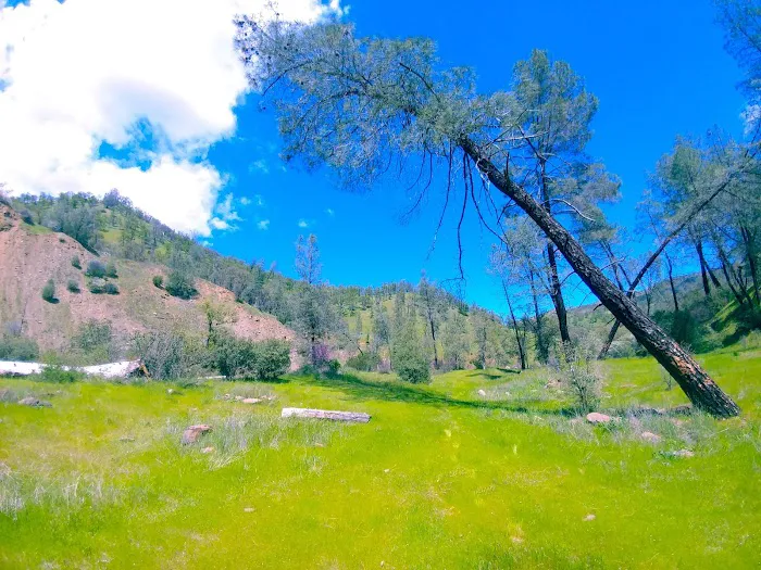 Bear Creek Campground 7