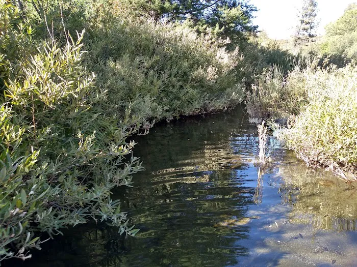 Hunting Creek Camp 9
