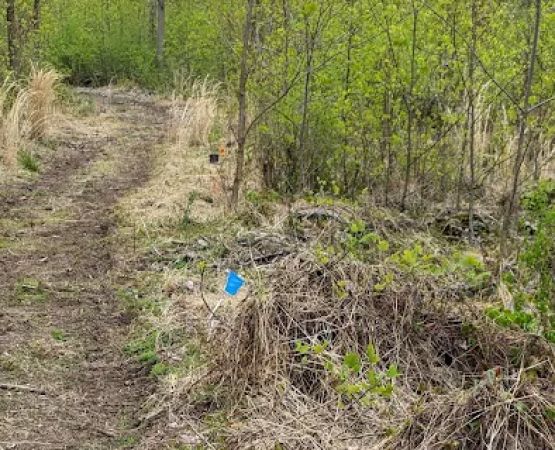 Camp Furnace Hills