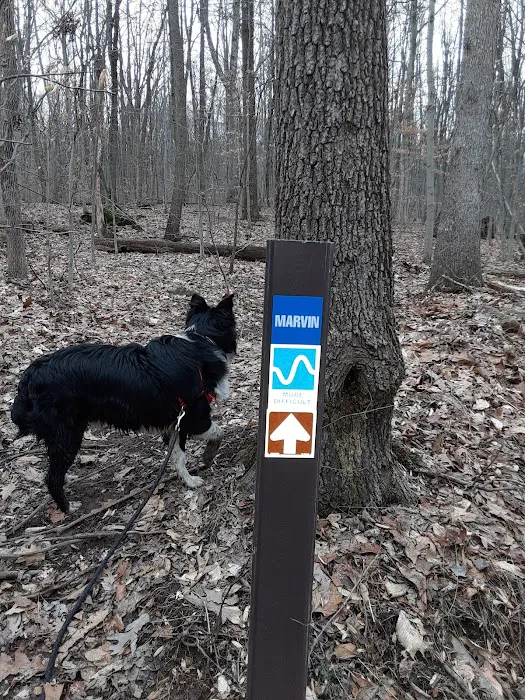 French Creek State Park Group Campground 2