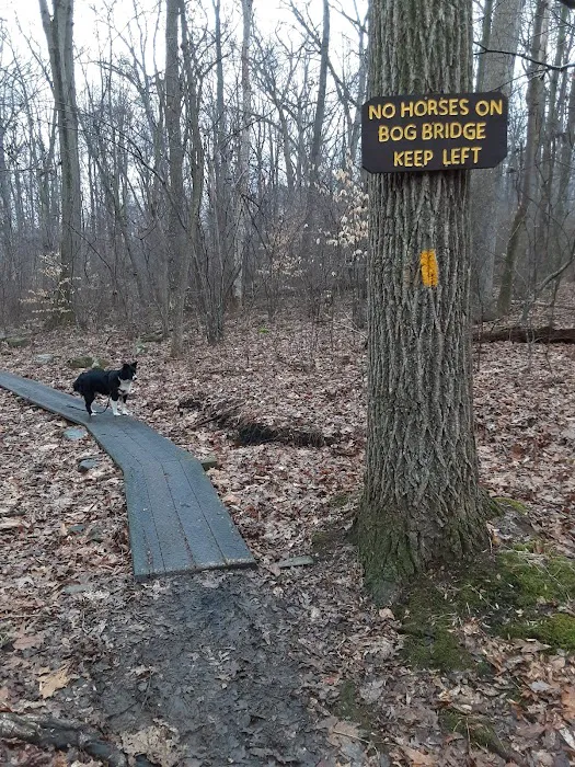 French Creek State Park Group Campground 3