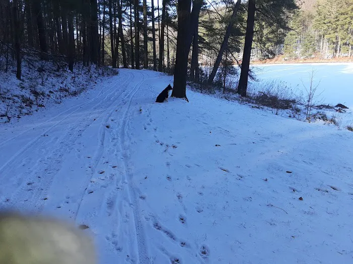 French Creek State Park Group Campground 4