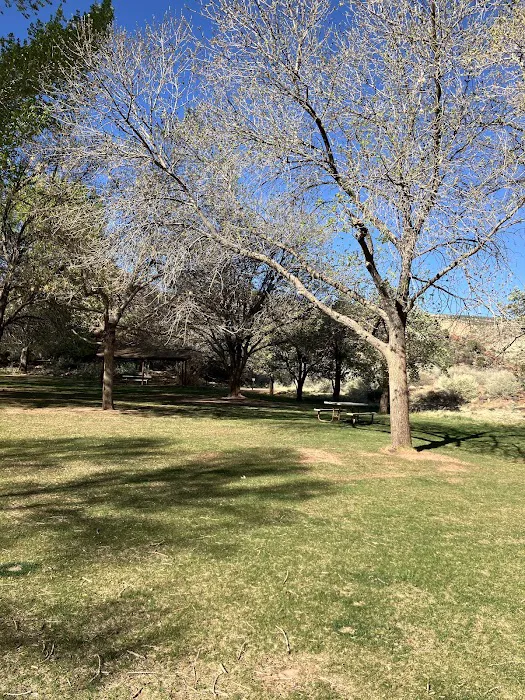 Fruita Group Campsite 1
