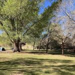 Fruita Group Campsite