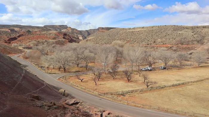Fruita Group Campsite 4