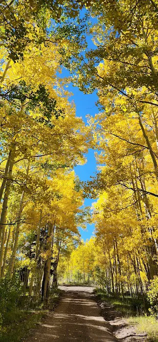 Elkhorn Campground 6