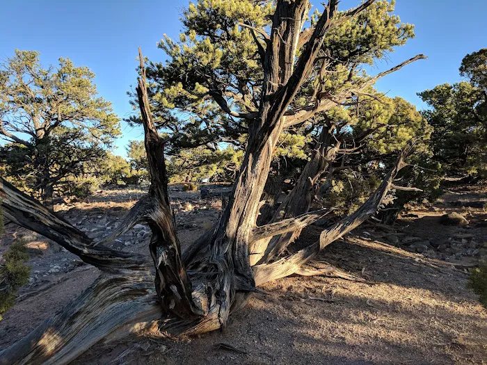 Cathedral Valley Campground 6