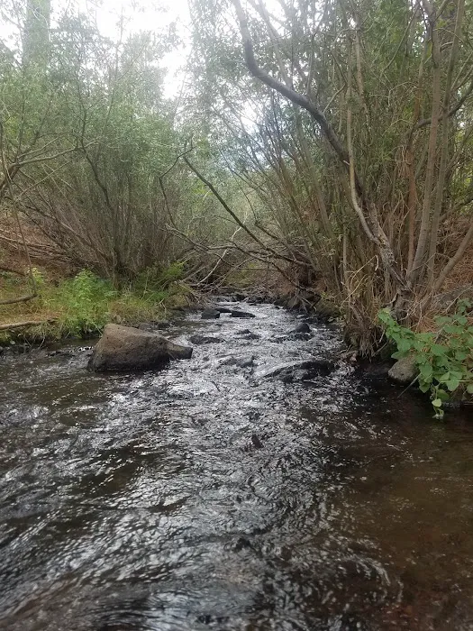 Pleasant Creek Campground 3