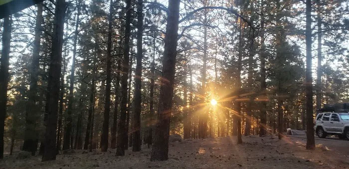 Pleasant Creek Campground 2