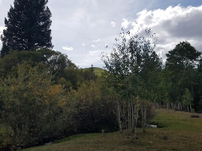 Pleasant Creek Campground 5