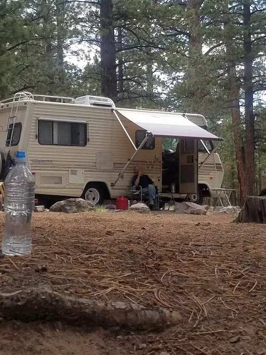 Pleasant Creek Campground 6