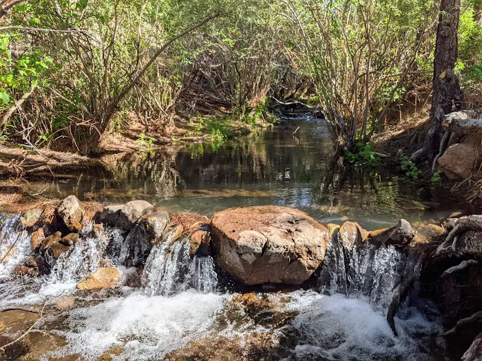 Pleasant Creek Campground 8
